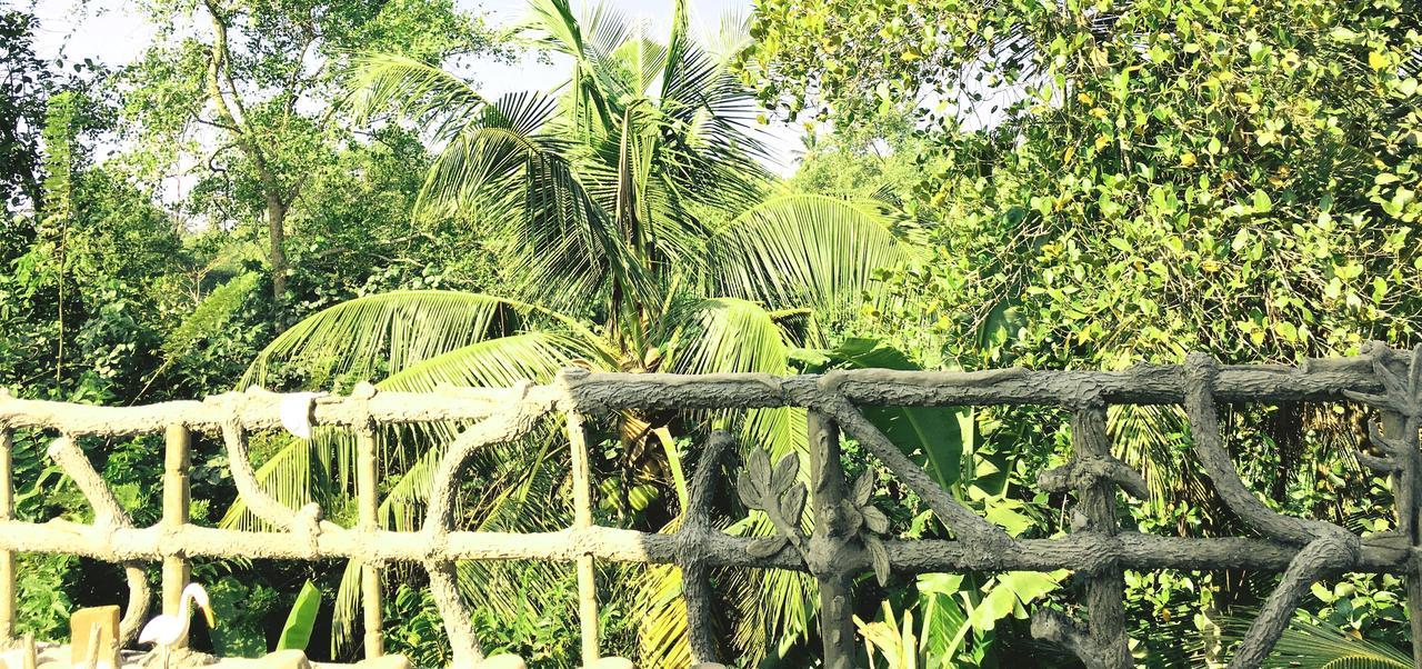 Galle Paradise Inn Extérieur photo